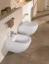 Унитаз подвесной Villeroy & Boch Subway Plus 6604 10R1 alpin